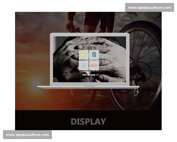 体育平台综合版全方位解析提升用户体验与互动的创新发展路径