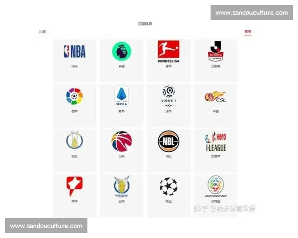 体育平台官网全方位介绍与功能解析，助力用户快速获取体育资讯和服务